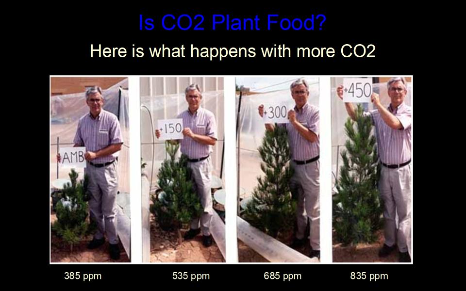 CO2 is to plants what O2 is to us
          animals , and we are starving them